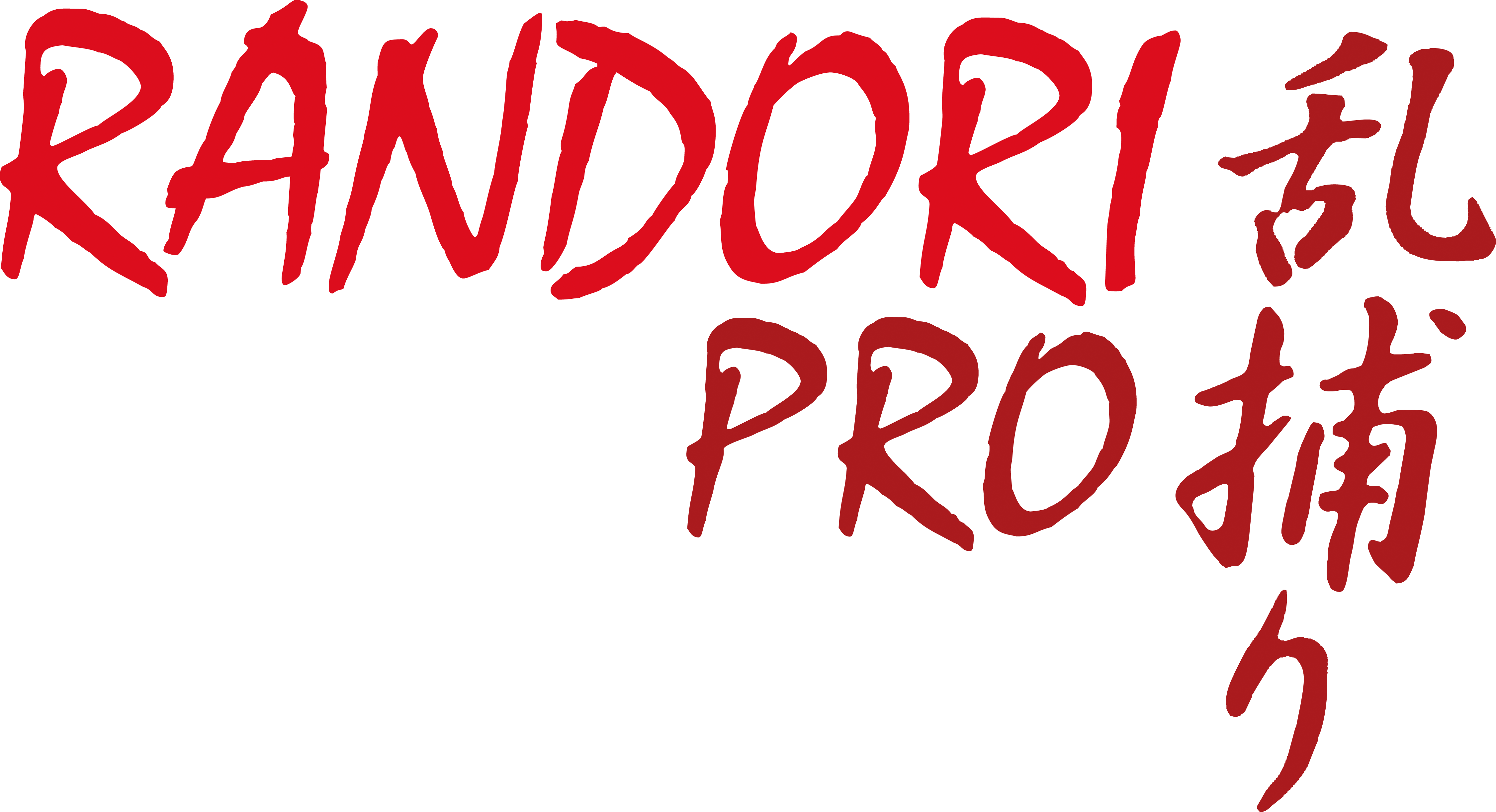 Randori-Pro